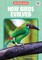 How Birds Evolved