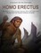 Homo erectus