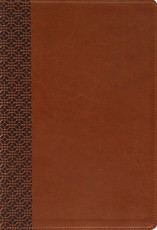 Amplified Holy Bible, Large Print, Leathersoft, Brown