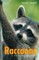 Raccoons