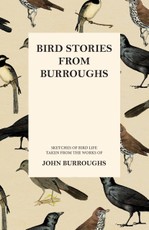 Bird Stories from Burroughs - Sketches of Bird Life Taken from the Works of John Burroughs
