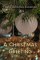 Christmas Greeting