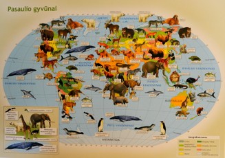Stalinis pasaulio ir Lietuvos gyvūnų žemėlapis. Dvipusis, laminuotas.