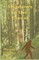 Shadows in the Forest