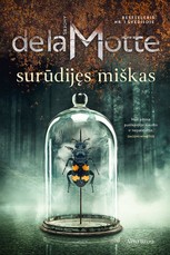 Surūdijęs miškas