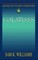 Abingdon New Testament Commentaries: Galatians
