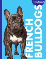 Curious about French Bulldogs