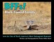 BFFs! Black-Footed Ferrets (Paperback)