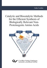 Catalytic and Biocatalytic Methods for the Efficient Synthesis of Biologically Relevant Non-Proteinogenic Amino Acids