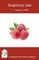 Raspberry Jam