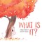 What Is It?
