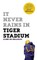 It Never Rains in Tiger Stadium