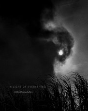 Debbie Fleming Caffery: Come to Light