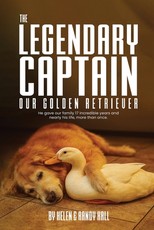 The Legendary Captain our Golden Retriever