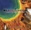 Wild Yellowstone