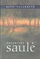 Papartynų saulė
