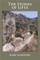 The Stones of Lifta