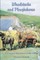 Wheelstocks and Ploughshares