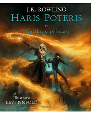 Haris Poteris ir Netikras princas 6. Iliustruotas leidimas