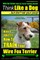 Wire Fox Terrier, Wire Fox Terrier Training, AAA AKC - Think Like a Dog But Don't Eat Your Poop! - Wire Fox Terrier Breed Expert Training -
