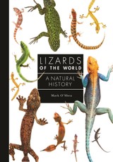 O'Shea, M: Lizards of the World