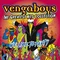 Vinilinė plokštelė LP VENGABOYS „The Greatest Hits Collection“