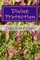 Divine Protection