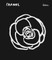 The Essence of Chanel