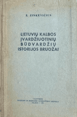 Lietuvių kalbos įvardžiuotinių būdvardžių istorijos bruožai