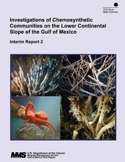 Investigations of Chemosynthetic Communitites on the Lower Continental Slope of the Gulf of Mexico