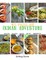 My Paleo AIP Indian Adventure