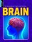 Brain