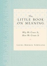 The Little Book on Meaning