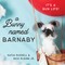Russell, K: A Bunny Named Barnaby