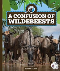 A Confusion of Wildebeests