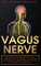 Vagus Nerve: The Missing Link To Treating Chronic Illness, Inflammation, Anxiety, Depression And Recover From Trauma (With Practica