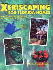 Xeriscaping for Florida Homes