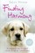 Finding Harmony