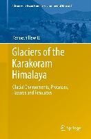 Glaciers of the Karakoram Himalaya