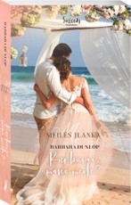 Kur buvai, mano meile? Meilės įlanka. 3 knyga