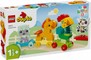 LEGO DUPLO blokeliai – Gyvūnų traukinys (10412)