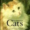 Glorious Cats