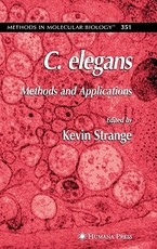 C. Elegans