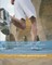 Washington Life and Health Insurance License Exams Review Questions & Answers 2016/17 Edition