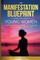 The Manifestation Blueprint for Young Women