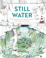 Still Water