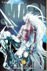 Magi: The Labyrinth of Magic, Vol. 18, 18