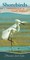 Shorebirds of the Southeast & Gulf States