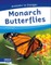 Monarch Butterflies