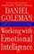 Working with Emotional Intelligence